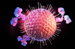 Learn to Protect your horse from equine herpes - NorCordia