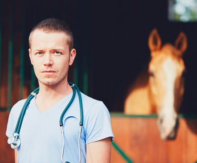 Learn to Protect your horse from equine herpes – NorCordia