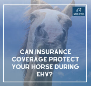 CAN YOU INSURE A HORSE DURING AN EHV OUTBREAK? – | NORCORDIA