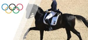Elite Dressage - Elite Jumping Horses Explained in 4 Minutes