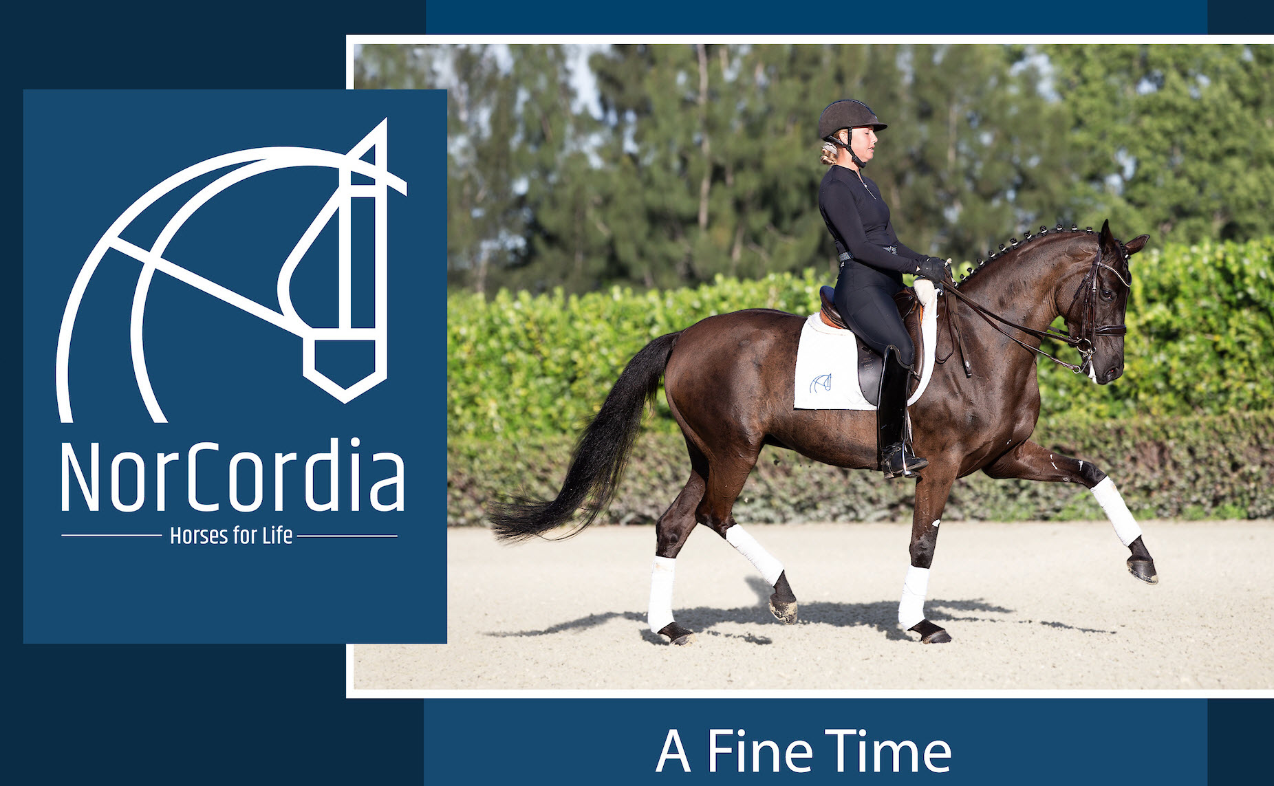 A Fine Time Prix St George for sale