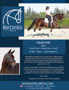 NorCordia ApS Hazel Ask Intermediere II 71.1