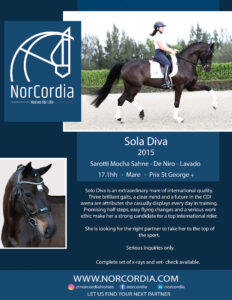 Choose the right NorCordia horse for you - Solo Diva