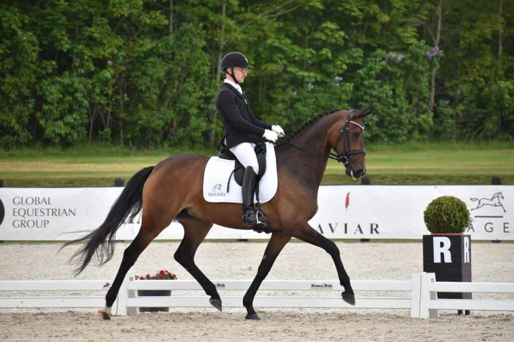 Søbakkehus Maude to Represent Denmark in FEI WBFSH Dressage World Breeding