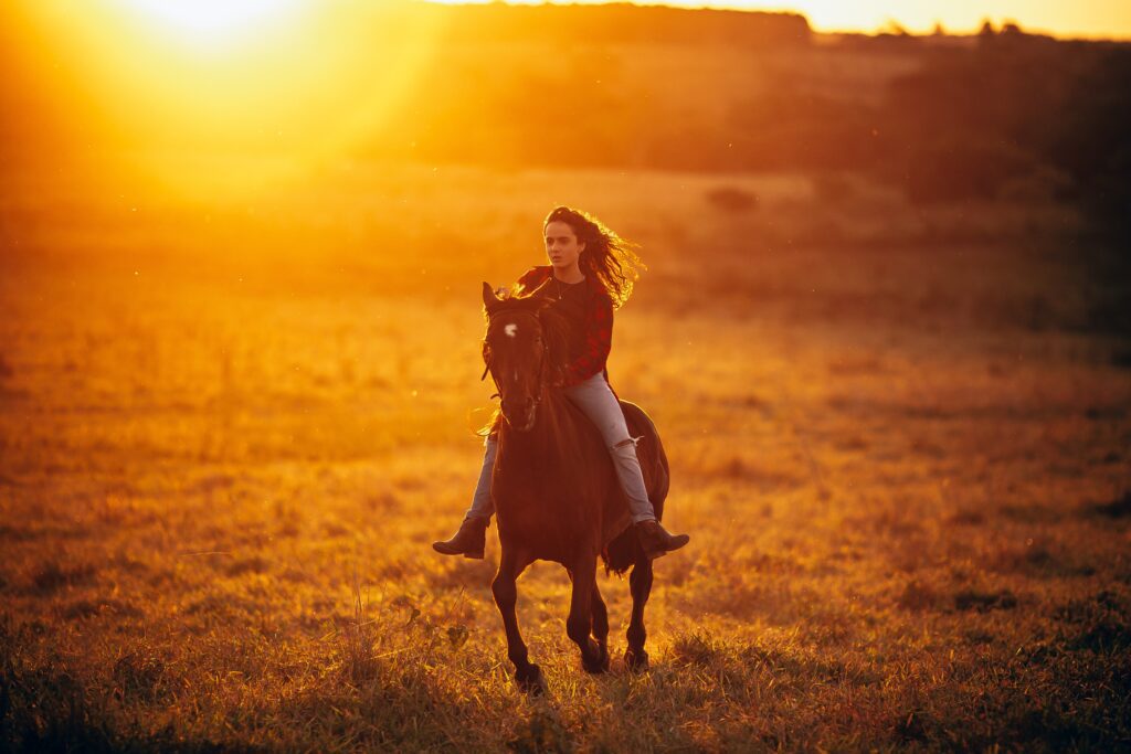 Riding again in the sunset, NorCordia