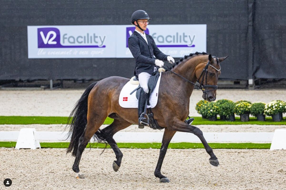 Søbakkehus Maude Performance of Denmark’s Future Dressage Star
