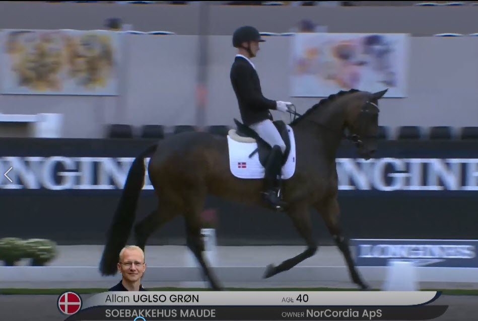 Søbakkehus Maude qualifies for finals in World Breeding Championship for young horses 2022