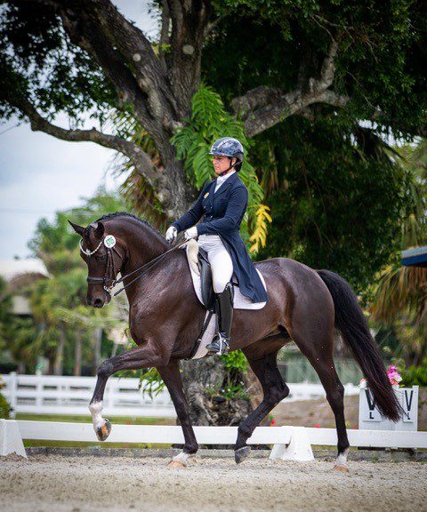 NorCordia Portfolio 3 - Investor newsletter 1