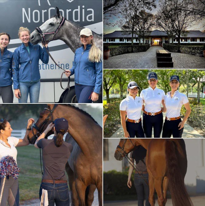 NorCordia is hiring ISO Head Groom